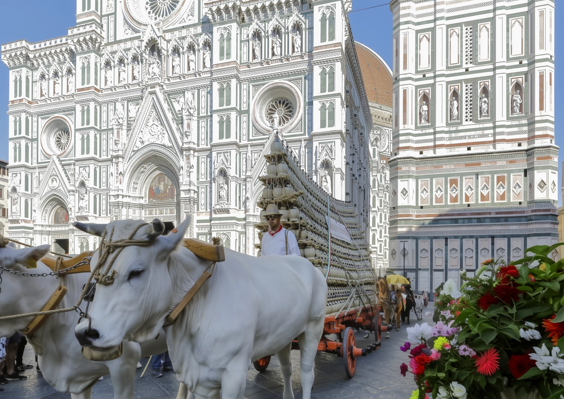 The Carro Matto: local traditions not to be missed!